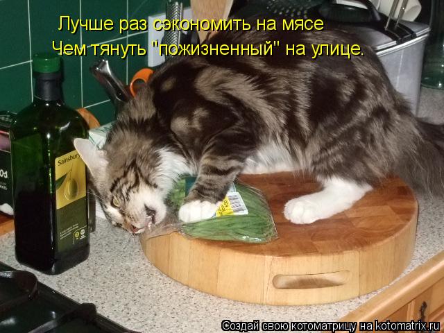 Лучше раз сэкономить на мясе Чем тянуть "пожизненный" на улице.... Котоматрица: Лучше раз сэкономить на мясе Чем тянуть "пожизненный" на улице.