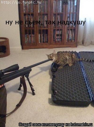 ну не съем, так надкушу... Котоматрица: ну не съем, так надкушу