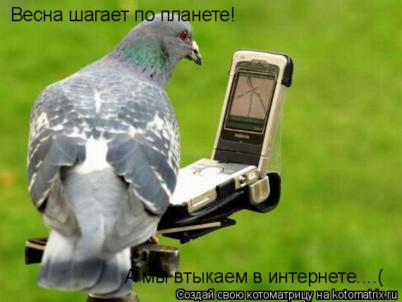 Весна шагает по планете! А мы втыкаем в интернете....(... Котоматрица: Весна шагает по планете! А мы втыкаем в интернете....(