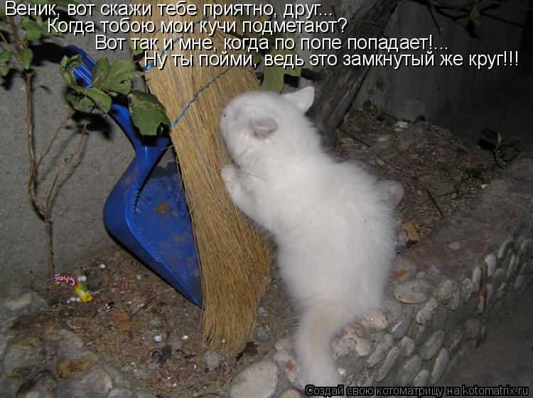 Веник, вот скажи тебе приятно, друг... Когда тобою мои кучи подметают? Вот так и мне, когда по попе п... Котоматрица: Веник, вот скажи тебе приятно, друг... Когда тобою мои кучи подметают? Вот так и мне, когда по попе попадает!... Ну ты пойми, ведь это замкнутый ж