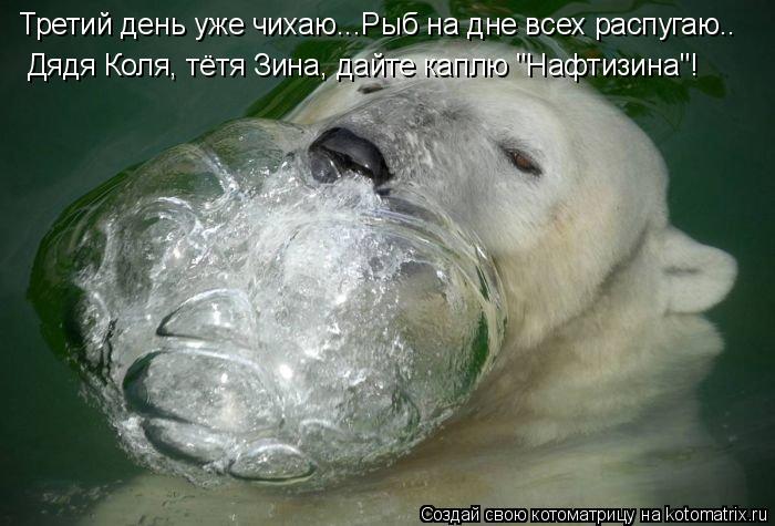 Третий день уже чихаю...Рыб на дне всех распугаю.. Дядя Коля, тётя Зина, дайте каплю "Нафтизина"!... Котоматрица: Третий день уже чихаю...Рыб на дне всех распугаю.. Дядя Коля, тётя Зина, дайте каплю "Нафтизина"!