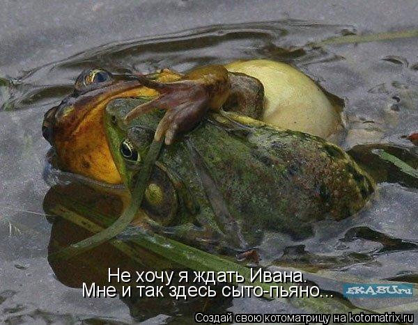 Котоматрица: Не хочу я ждать Ивана. Мне и так здесь сыто-пьяно...