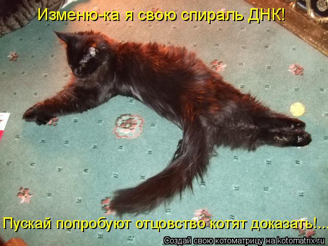 Пускай попробуют отцовство котят доказать!... Изменю-ка я свою спираль ДНК!... Котоматрица: Пускай попробуют отцовство котят доказать!... Изменю-ка я свою спираль ДНК!