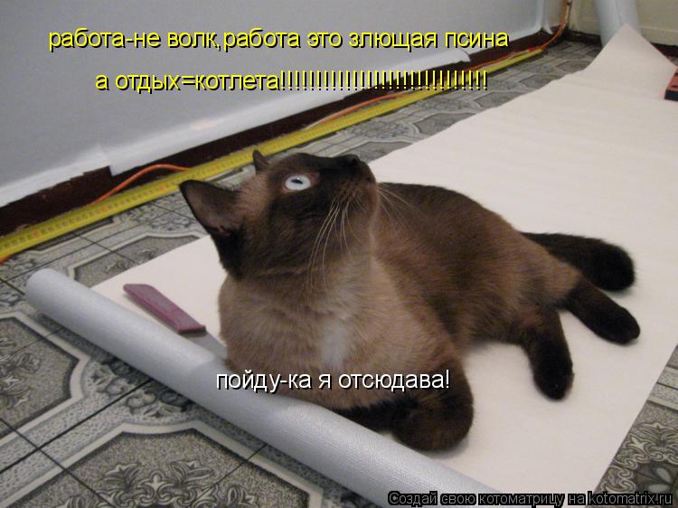 работа-не волк,работа это злющая псина а отдых=котлета!!!!!!!!!!!!!!!!!!!!!!!!!!!!! пойду-ка я отсюда... Котоматрица: работа-не волк,работа это злющая псина а отдых=котлета!!!!!!!!!!!!!!!!!!!!!!!!!!!!! пойду-ка я отсюдава!