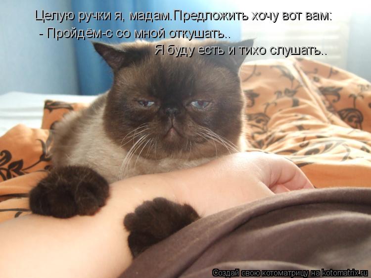 Целую ручки я, мадам.Предложить хочу вот вам: - Пройдём-с со мной откушать.. Я буду есть и тихо слуша... Котоматрица: Целую ручки я, мадам.Предложить хочу вот вам: - Пройдём-с со мной откушать.. Я буду есть и тихо слушать..