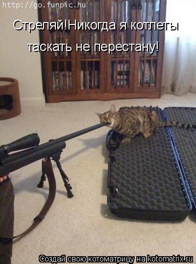 Стреляй!Никогда я котлеты таскать не перестану!... Котоматрица: Стреляй!Никогда я котлеты таскать не перестану!