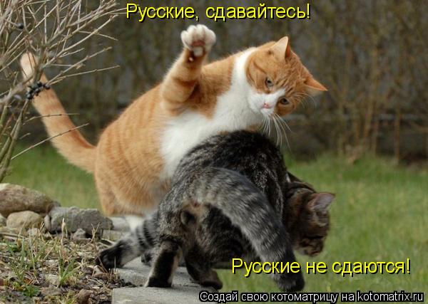 Русские, сдавайтесь! Русские не сдаются!... Котоматрица: Русские, сдавайтесь! Русские не сдаются!