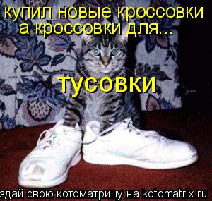 купил новые кроссовки а кроссовки для... тусовки... Котоматрица: купил новые кроссовки а кроссовки для... тусовки
