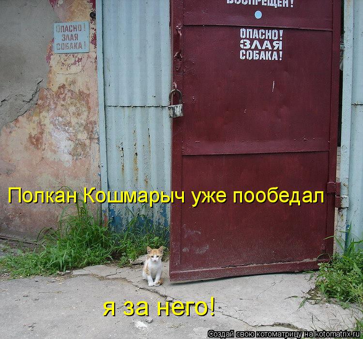 Полкан Кошмарыч уже пообедал я за него!... Котоматрица: Полкан Кошмарыч уже пообедал я за него!