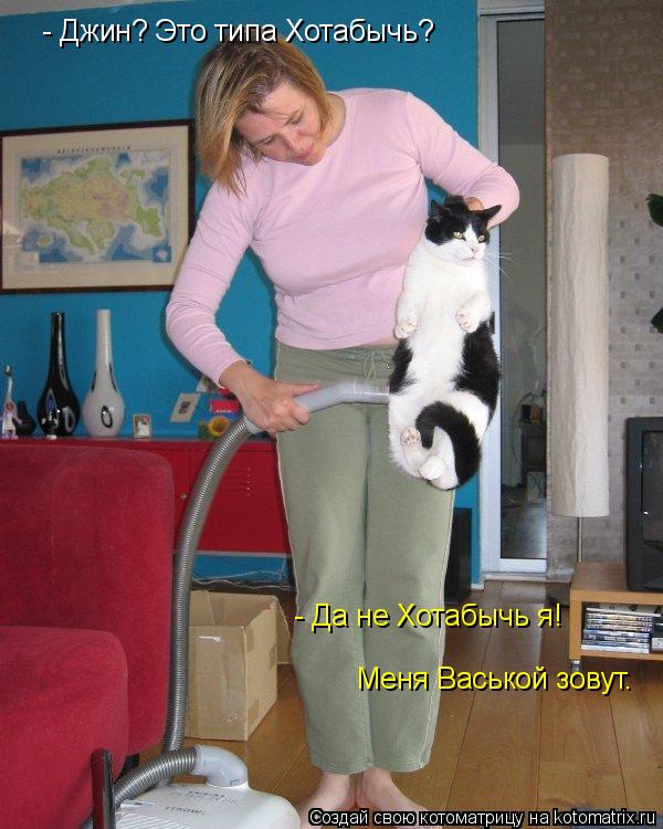 Котоматрица: - Джин? Это типа Хотабычь? - Да не Хотабычь я! Меня Васькой зовут.
