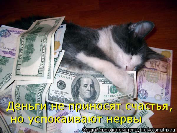 Котоматрица: но успокаивают нервы Деньги не приносят счастья,
