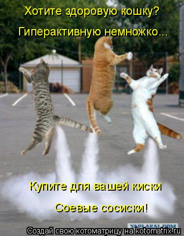 Хотите здоровую кошку? Гиперактивную немножко... Купите для вашей киски Соевые сосиски!... Котоматрица: Хотите здоровую кошку? Гиперактивную немножко... Купите для вашей киски Соевые сосиски!