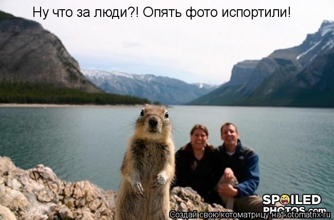 Ну что за люди?! Опять фото испортили!... Котоматрица: Ну что за люди?! Опять фото испортили!