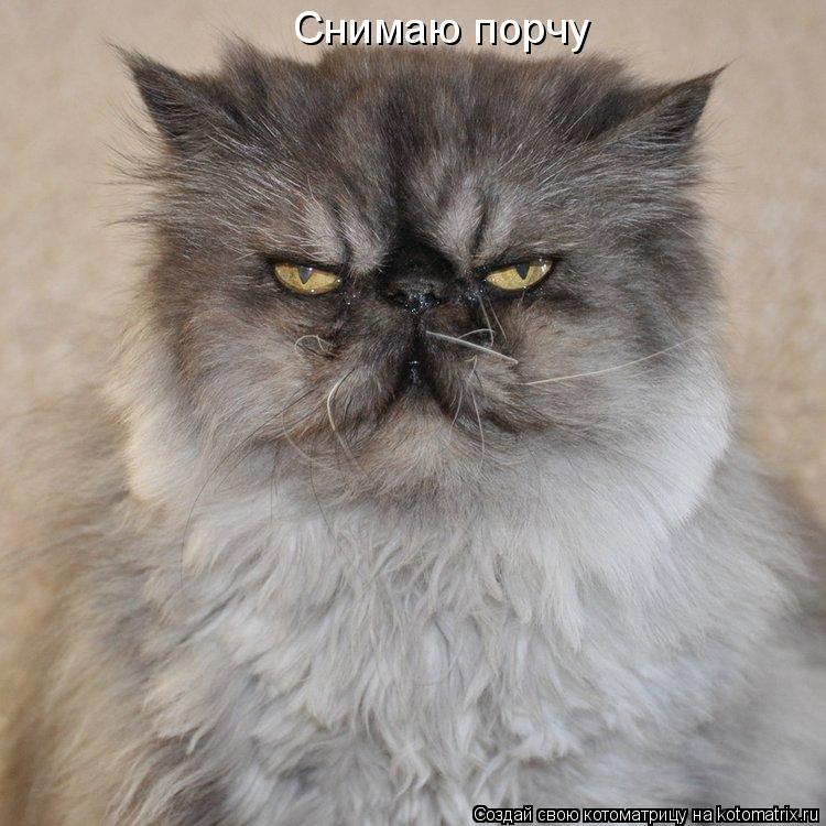 Снимаю порчу... Котоматрица: Снимаю порчу