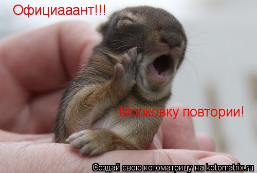 Официааант!!! Официааант!!! Морковку повтории!... Котоматрица: Официааант!!! Официааант!!! Морковку повтории!