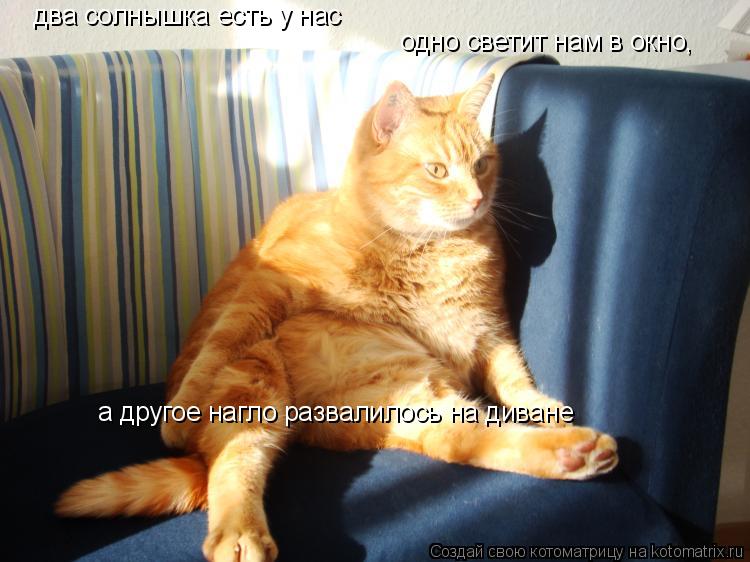 два солнышка есть у нас одно светит нам в окно, а другое нагло развалилось на диване... Котоматрица: два солнышка есть у нас одно светит нам в окно, а другое нагло развалилось на диване