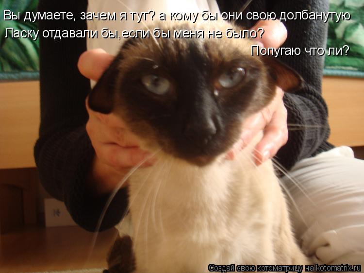 Вы думаете, зачем я тут? а кому бы они свою долбанутую Ласку отдавали бы,если бы меня не было? Попуг... Котоматрица: Вы думаете, зачем я тут? а кому бы они свою долбанутую Ласку отдавали бы,если бы меня не было? Попугаю что ли?