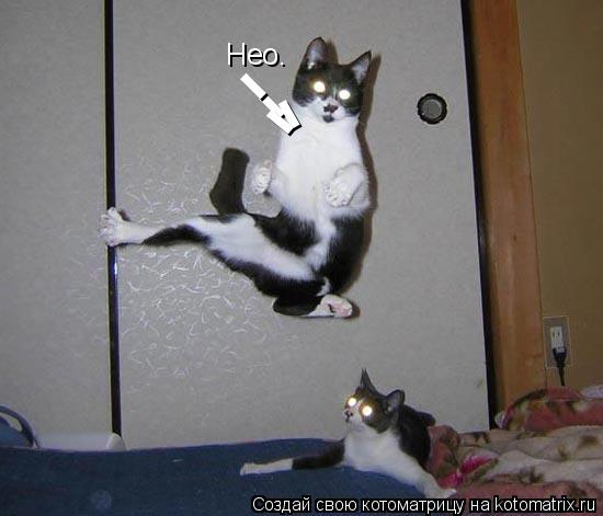 Нео. - - - -... Котоматрица: Нео. - - - -