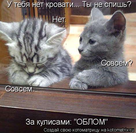 У тебя нет кровати... Ты не спишь? Нет. Совсем? Совсем. За кулисами: "ОБЛОМ"... Котоматрица: У тебя нет кровати... Ты не спишь? Нет. Совсем? Совсем. За кулисами: "ОБЛОМ"
