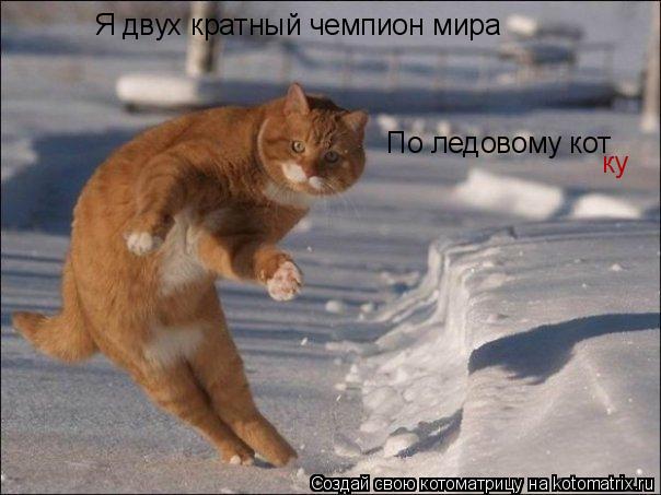 Я двух кратный чемпион мира По ледовому кот ку... Котоматрица: Я двух кратный чемпион мира По ледовому кот ку