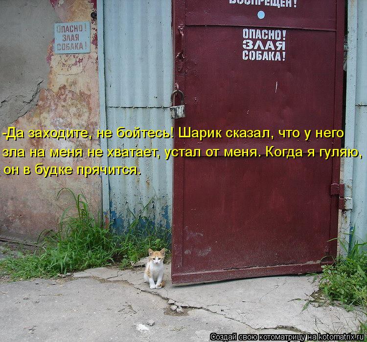 -Да заходите, не бойтесь! Шарик сказал, что у него он в будке прячится. зла на меня не хватает, устал... Котоматрица: -Да заходите, не бойтесь! Шарик сказал, что у него он в будке прячится. зла на меня не хватает, устал от меня. Когда я гуляю,