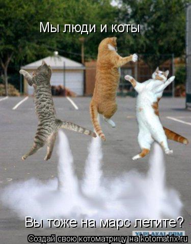 Мы люди и коты Вы тоже на марс летите?... Котоматрица: Мы люди и коты Вы тоже на марс летите?
