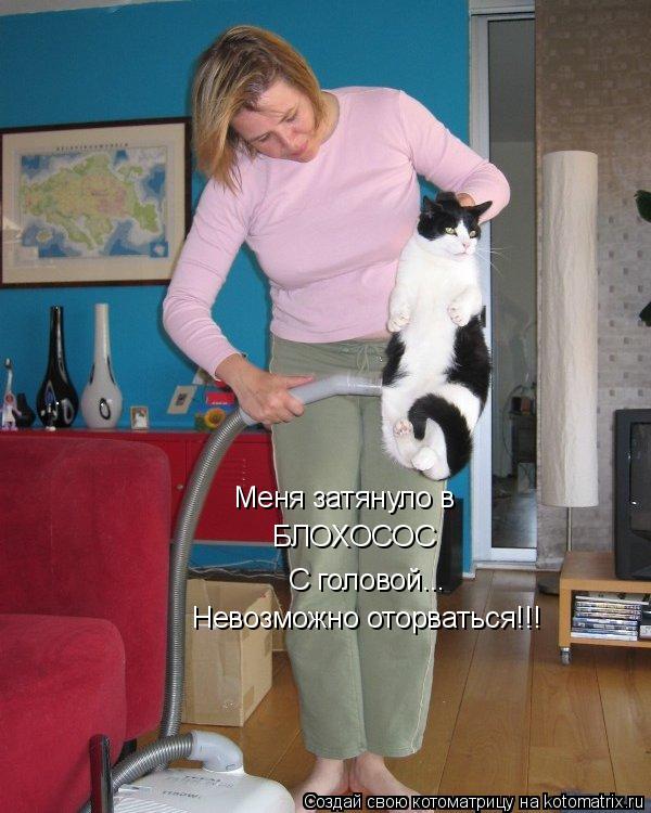 Меня затянуло в БЛОХОСОС С головой... Невозможно оторваться!!!... Котоматрица: Меня затянуло в БЛОХОСОС С головой... Невозможно оторваться!!!