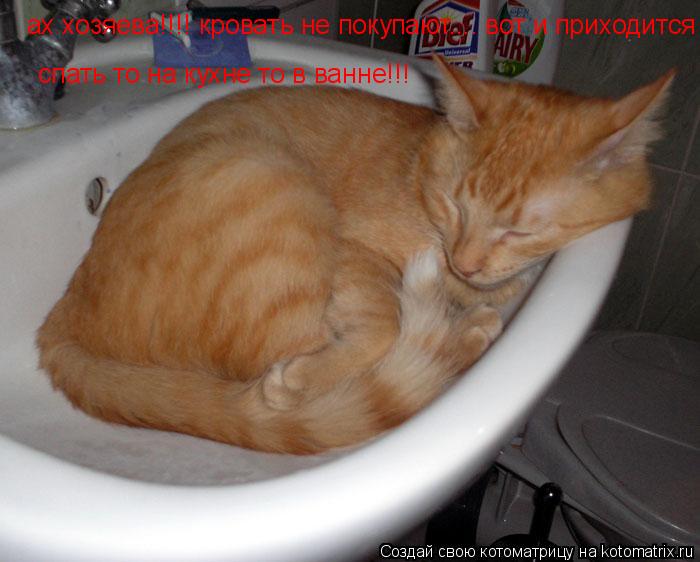 ах хозяева!!!! кровать не покупают.... вот и приходится спать то на кухне то в ванне!!! спать то на ... Котоматрица: ах хозяева!!!! кровать не покупают.... вот и приходится спать то на кухне то в ванне!!! спать то на кухне то в ванне!!!