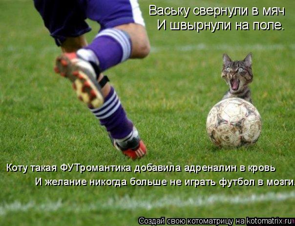 Ваську свернули в мяч И швырнули на поле. Коту такая ФУТромантика добавила адреналин в кровь И желани... Котоматрица: Ваську свернули в мяч И швырнули на поле. Коту такая ФУТромантика добавила адреналин в кровь И желание никогда больше не играть футбол в мо