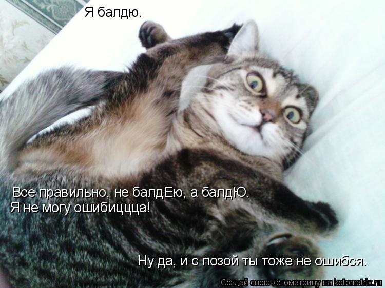 Я балдю. Все правильно, не балдЕю, а балдЮ. Я не могу ошибиццца! Ну да, и с позой ты тоже не ошибся.... Котоматрица: Я балдю. Все правильно, не балдЕю, а балдЮ. Я не могу ошибиццца! Ну да, и с позой ты тоже не ошибся.