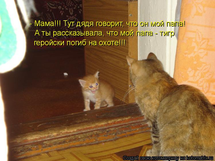 - Мама!!! Тут дядя говорит, что он мой папа! А ты рассказывала, что мой папа - тигр геройски погиб на... Котоматрица: - Мама!!! Тут дядя говорит, что он мой папа! А ты рассказывала, что мой папа - тигр геройски погиб на охоте!!!