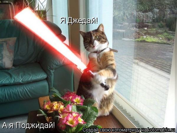 Я Джедай! А я Поджидай!... Котоматрица: Я Джедай! А я Поджидай!