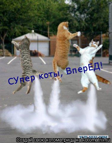 СУпер коты, ВперЕД!... Котоматрица: СУпер коты, ВперЕД!