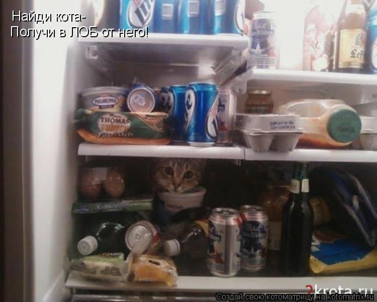 Найди кота- Получи в ЛОБ от него!... Котоматрица: Найди кота- Получи в ЛОБ от него!