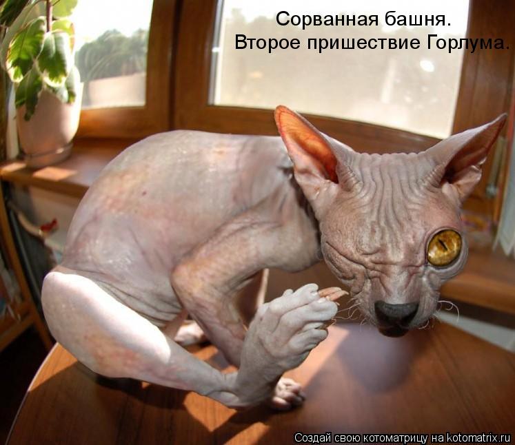 Сорванная башня. Второе пришествие Горлума.... Котоматрица: Сорванная башня. Второе пришествие Горлума.