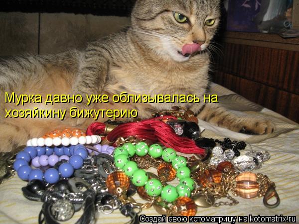 Котоматрица: Мурка давно уже облизывалась на хозяйкину бижутерию