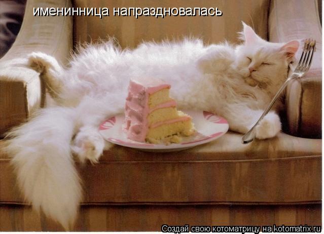 именинница напраздновалась... Котоматрица: именинница напраздновалась