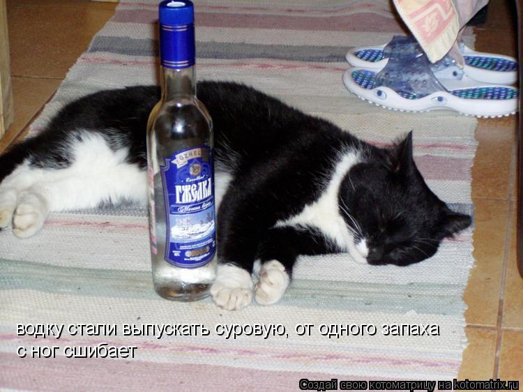 водку стали выпускать суровую, от одного запаха с ног сшибает... Котоматрица: водку стали выпускать суровую, от одного запаха с ног сшибает