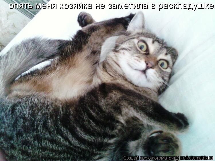 опять меня хозяйка не заметила в раскладушке... Котоматрица: опять меня хозяйка не заметила в раскладушке