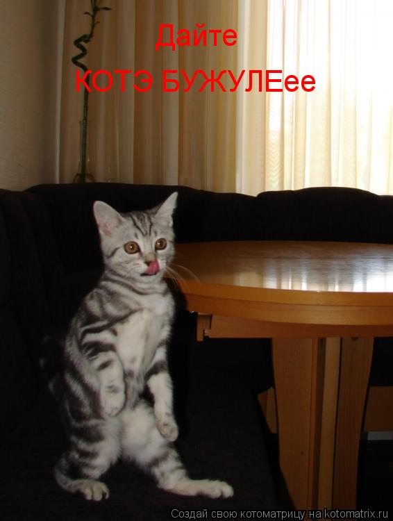 Дайте КОТЭ БУЖУЛЕее... Котоматрица: Дайте КОТЭ БУЖУЛЕее