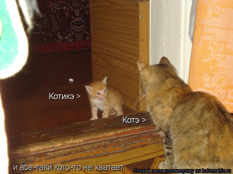 Котэ > Котикэ > и все-таки кого-то не хватает...... Котоматрица: Котэ > Котикэ > и все-таки кого-то не хватает...
