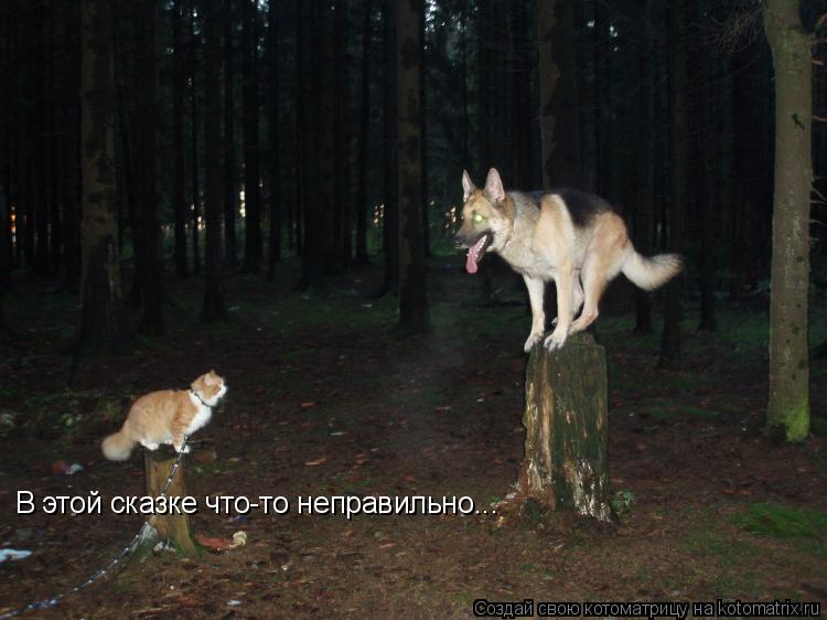 В этой сказке что-то неправильно...... Котоматрица: В этой сказке что-то неправильно...