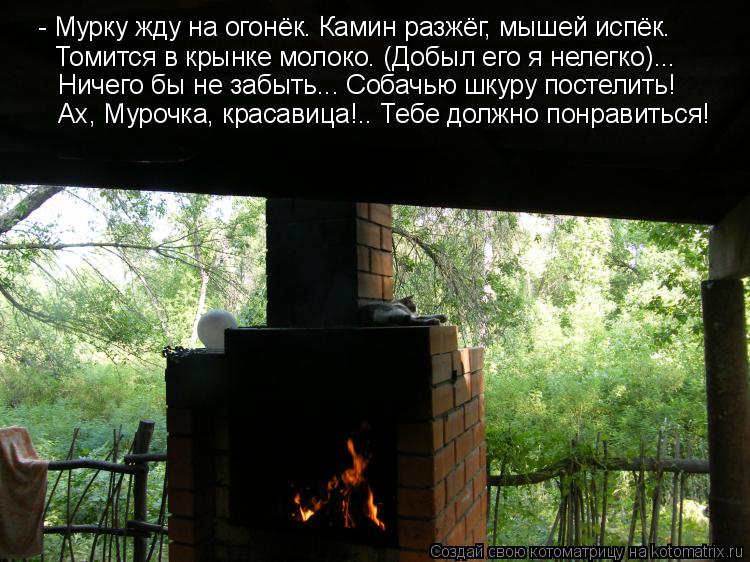 - Мурку жду на огонёк. Камин разжёг, мышей испёк. Томится в крынке молоко. (Добыл его я нелегко)... Н... Котоматрица: - Мурку жду на огонёк. Камин разжёг, мышей испёк. Томится в крынке молоко. (Добыл его я нелегко)... Ничего бы не забыть... Собачью шкуру постелит