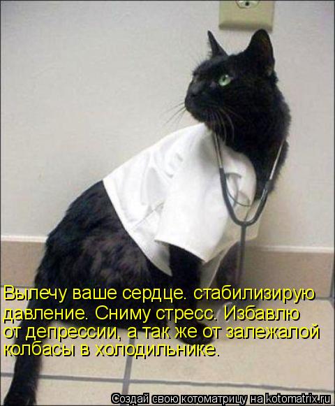 Вылечу ваше сердце. стабилизирую давление. Сниму стресс. Избавлю от депрессии, а так же от залежалой ... Котоматрица: Вылечу ваше сердце. стабилизирую давление. Сниму стресс. Избавлю от депрессии, а так же от залежалой колбасы в холодильнике.
