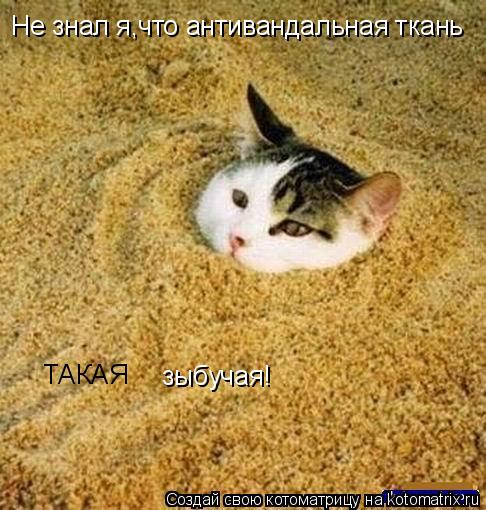 Не знал я,что антивандальная ткань ТАКАЯ зыбучая!... Котоматрица: Не знал я,что антивандальная ткань ТАКАЯ зыбучая!
