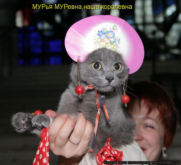 МУРья МУРевна,наша королевна... Котоматрица: МУРья МУРевна,наша королевна