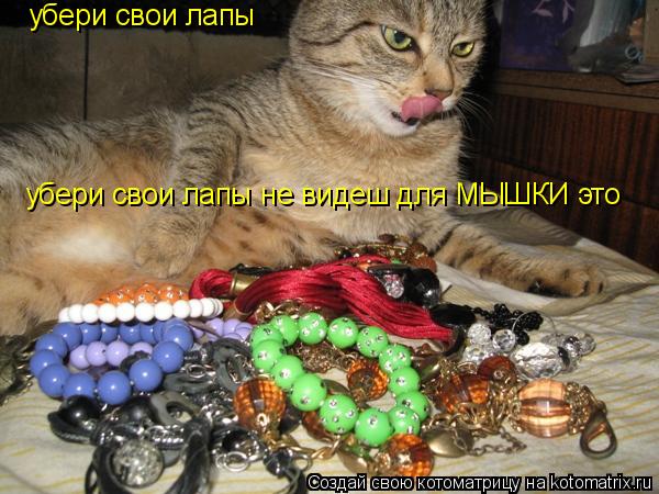 убери свои лапы убери свои лапы не видеш для МЫШКИ это... Котоматрица: убери свои лапы убери свои лапы не видеш для МЫШКИ это