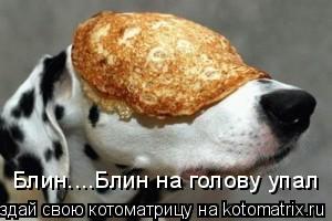 Блин....Блин на голову упал... Котоматрица: Блин....Блин на голову упал