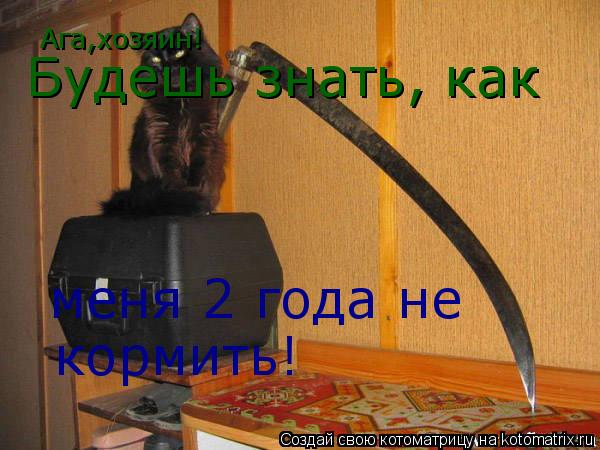 Ага,хозяин! Будешь знать, как меня 2 года не кормить!... Котоматрица: Ага,хозяин! Будешь знать, как меня 2 года не кормить!