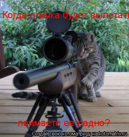 Когда птичка будет вылетать поймаете ее,ладно?... Котоматрица: Когда птичка будет вылетать поймаете ее,ладно?